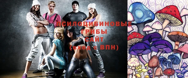 PSILOCYBIN Абинск
