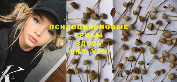 герыч Алексин